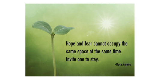 Wellness is Nurturing Yourself and Others