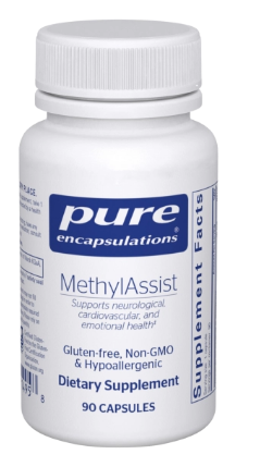 MethylAssist