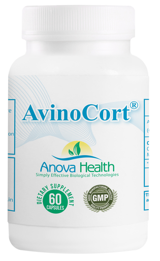 AH AvinoCort