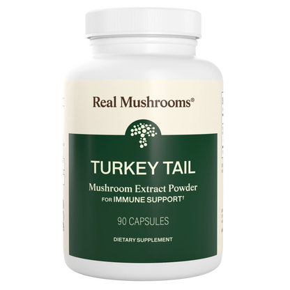 Turkey Tail Extract