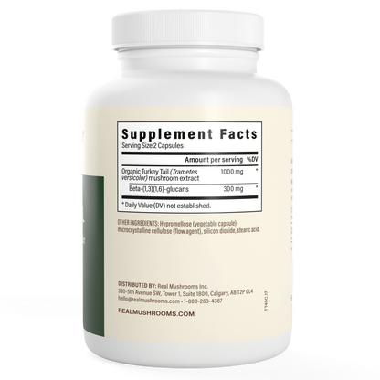 Turkey Tail Extract