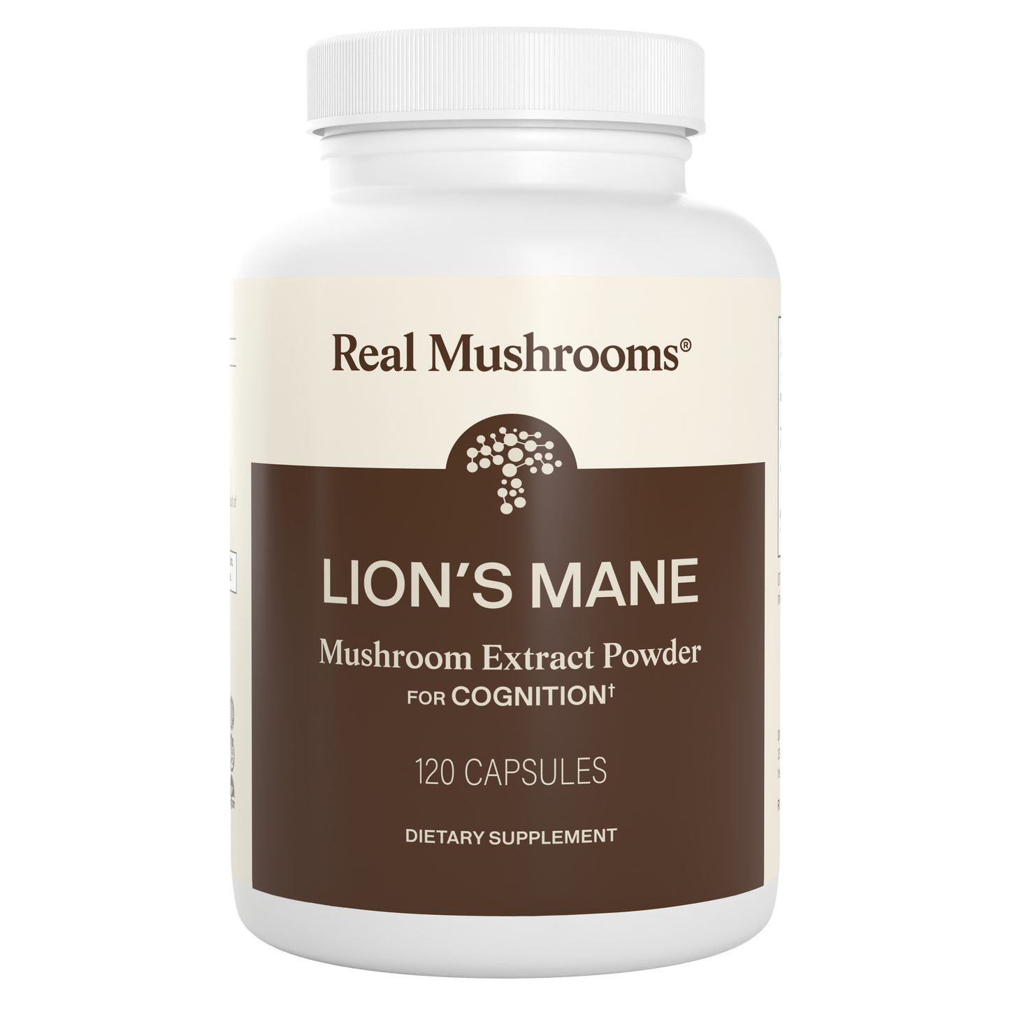 Lions Mane Extract