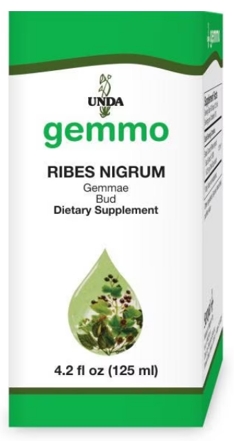 UN GEM Ribes Nigrum