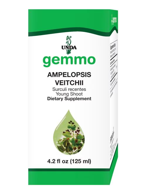 UN GEM Ampelopsis Veitchii